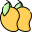qlty5