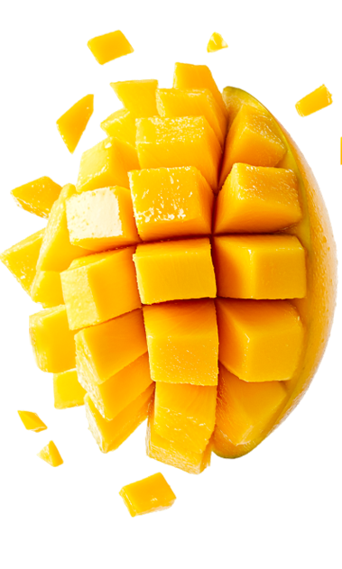 qlty2
